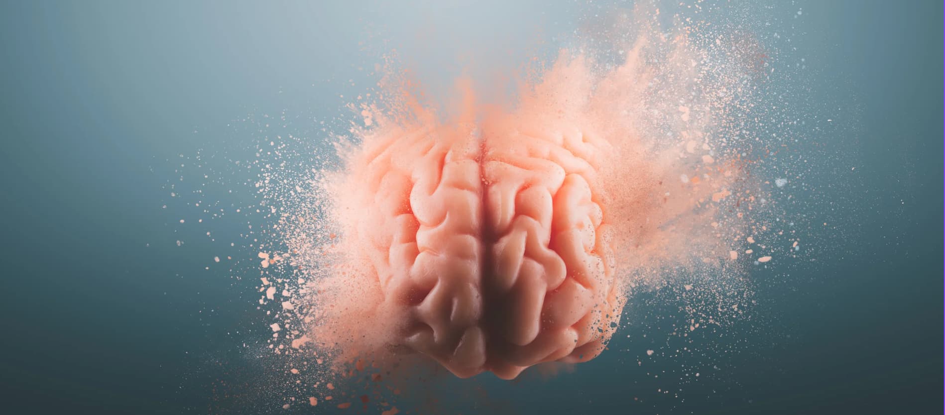 ciekawostki o mózgu